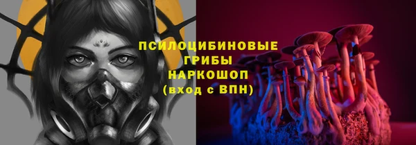 таблы Богородск