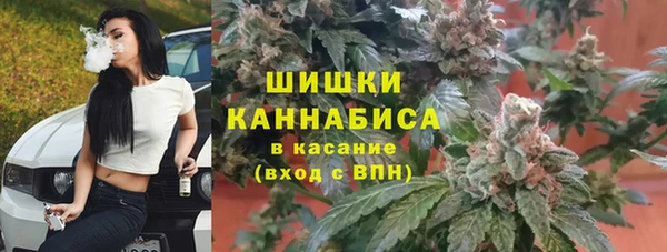 apvp Рославль