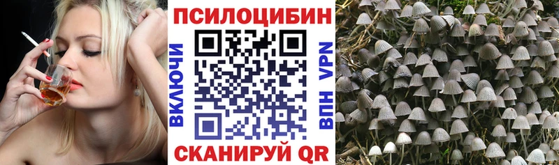 МЕГА сайт  Наро-Фоминск  Псилоцибиновые грибы Psilocybine cubensis 